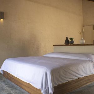 Suite Estándar